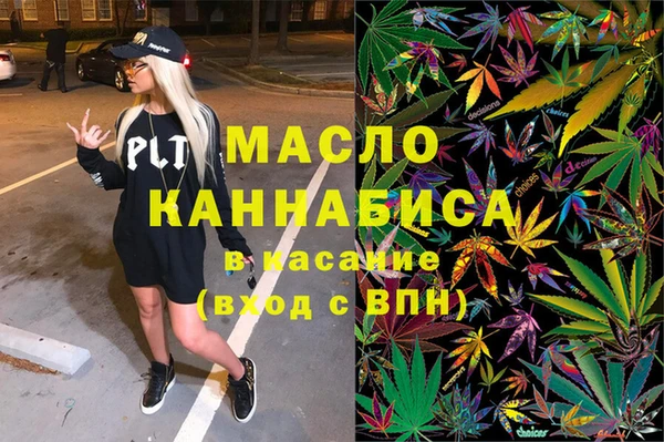 индика Аркадак
