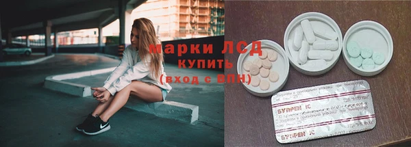 индика Аркадак
