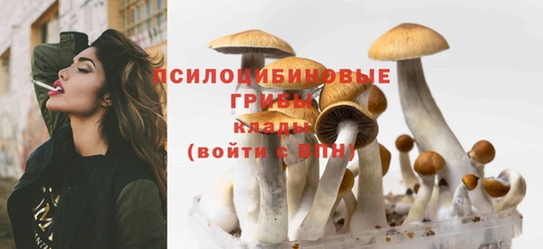 индика Аркадак