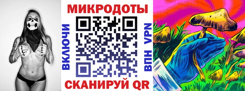 купить наркоту  Южно-Сухокумск  Галлюциногенные грибы Psilocybine cubensis 